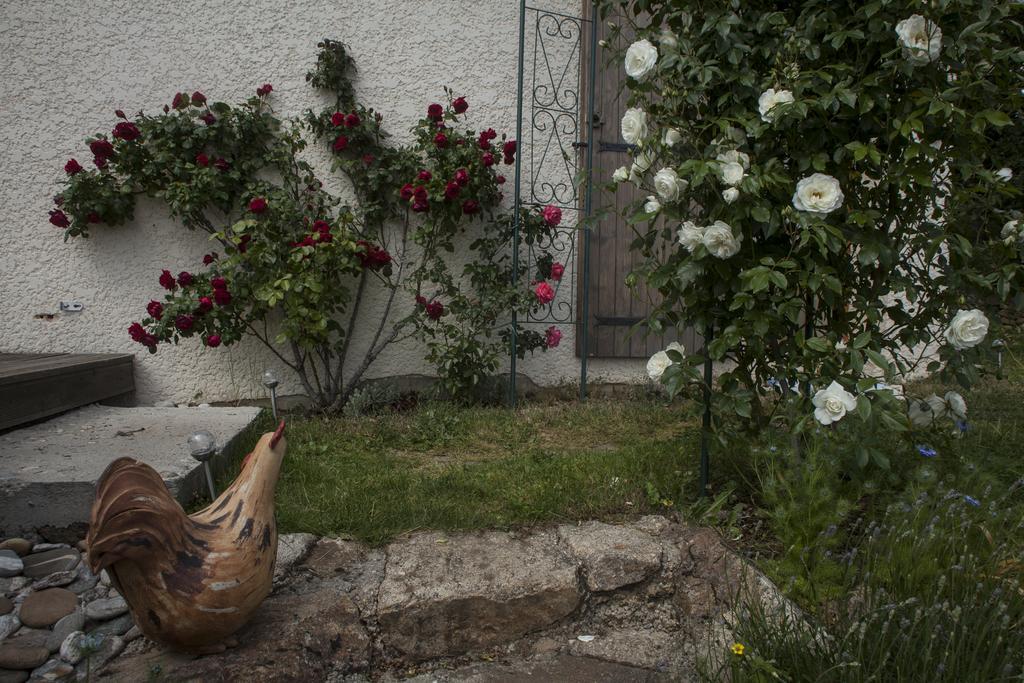 Chambre D'Hotes La Bichette Chassagny Esterno foto